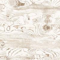 Напольные пробковые покрытия VISCORK (ВИСКОРК) PRINT OF CORK WOOD Bohemia Wood Texture