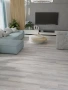 Ламинат Dream Floor Береза Канадская, Modern